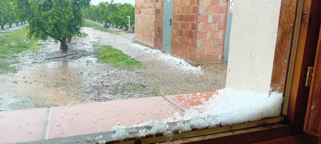 Més informació sobre l'article Calamarsada 15-4-25