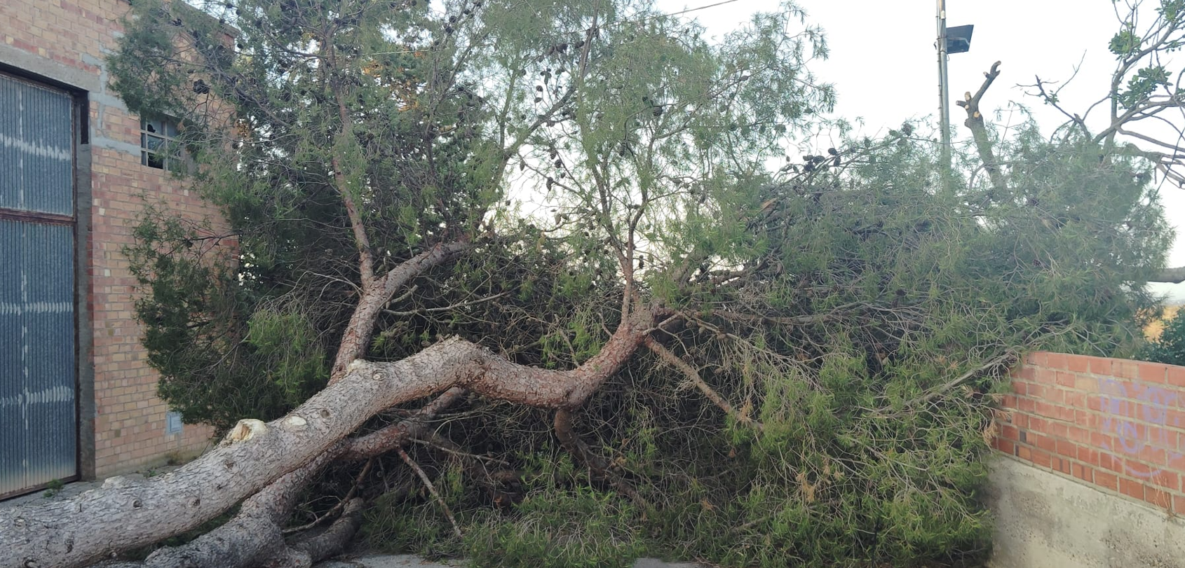 Actualment esteu veient Pedregada 5-7-25