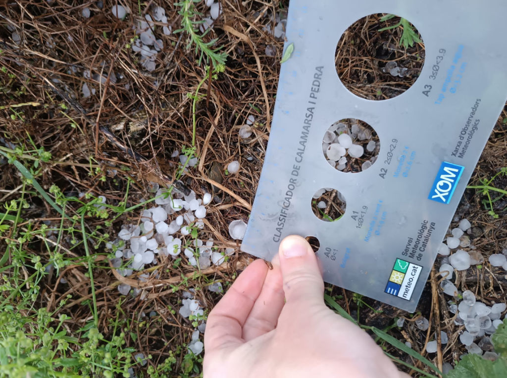 Més informació sobre l'article Pedregada 13-5-25