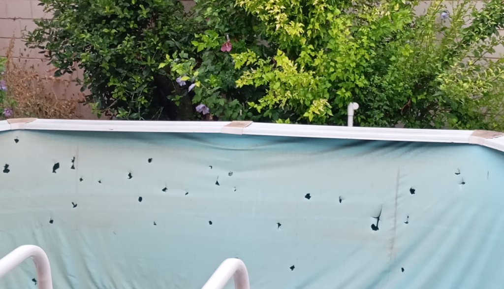 Més informació sobre l'article Pedregada 23-7-25