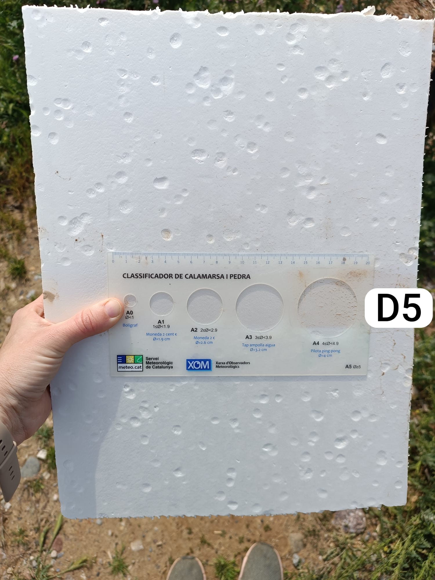 Actualment esteu veient Pedregada 19-4-26